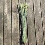 Tørrede naturfarvet hvede buket