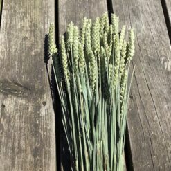 Alternative view of Tørrede naturfarvet hvede buket