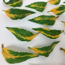 Alternative view of Bitte små spraglet blade