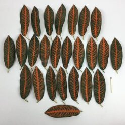 Alternative view of Blade orange grønne farver