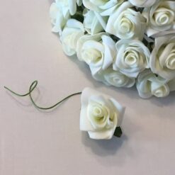 Lys cremefarvet lille skumrose