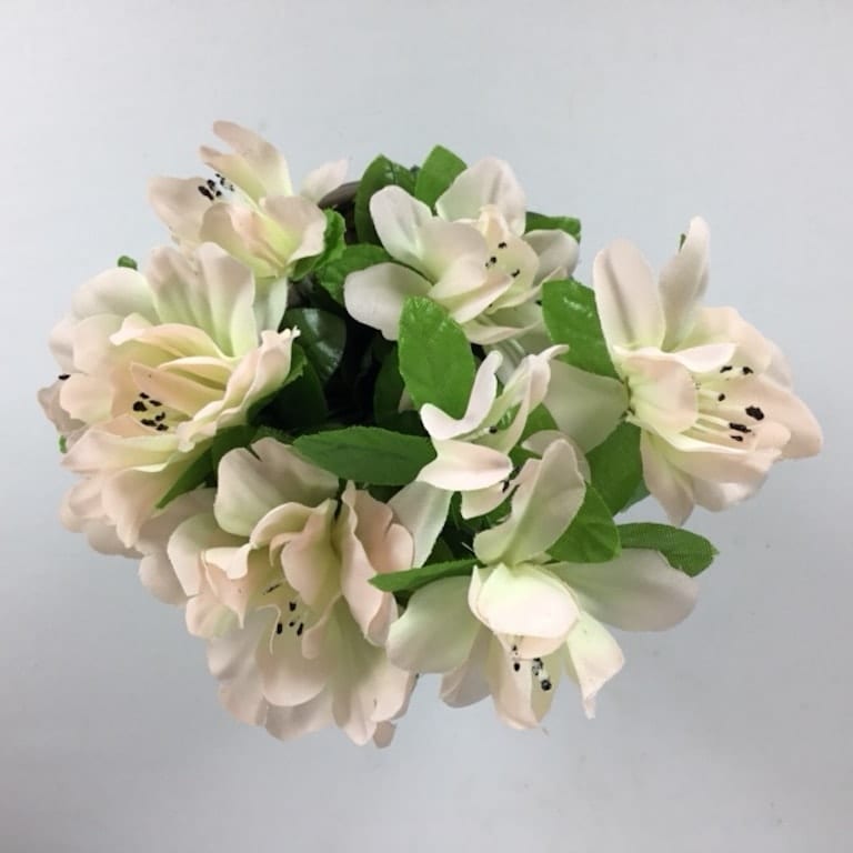 Sart rosa azalia potteplante - Billede 3