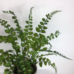 Alternative view of Grøn potteplante i lerpotte