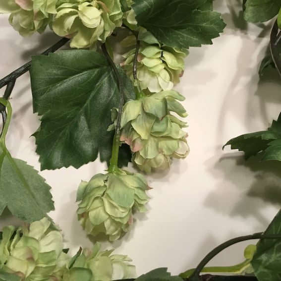 Naturtro humleranke - Billede 5