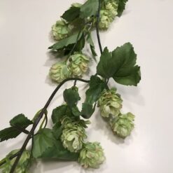 Alternative view of Naturtro humleranke