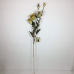 Alternative view of Høj beige rosengren