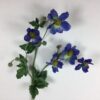 Blå Anemone flot høj gren
