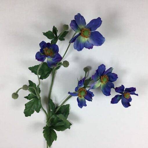 Blå Anemone flot høj gren
