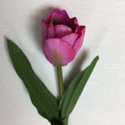 Alternative view of Tulipan i pink farve