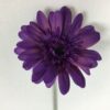 Naturtro lilla gerbera stilk