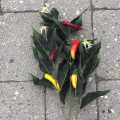 Alternative view of Chili pebergren med frugter