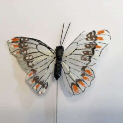 Hvid sommerfugl med kontrastfarver