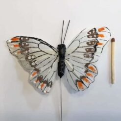 Alternative view of Hvid sommerfugl med kontrastfarver