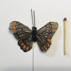 Alternative view of Lille brun sommerfugl