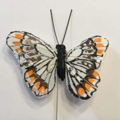 Lille hvid sommerfugl