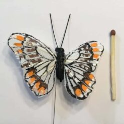 Alternative view of Lille hvid sommerfugl