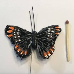 Alternative view of Lille sort sommerfugl