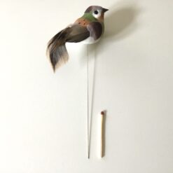 Fugl i olivengrøn og brun