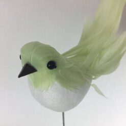 Alternative view of Fugl med lang hale