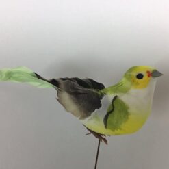 Dekorativ farvet fugl