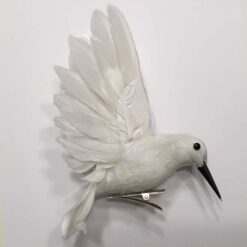 Kolibri fugl i hvid en