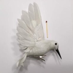 Alternative view of Hvid Kolibri