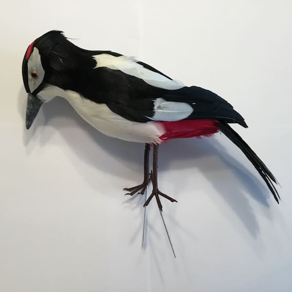 Kunstig spætte med fjer - Billede 4