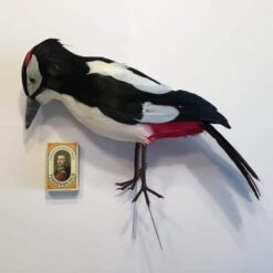 Alternative view of Kunstig spætte med fjer