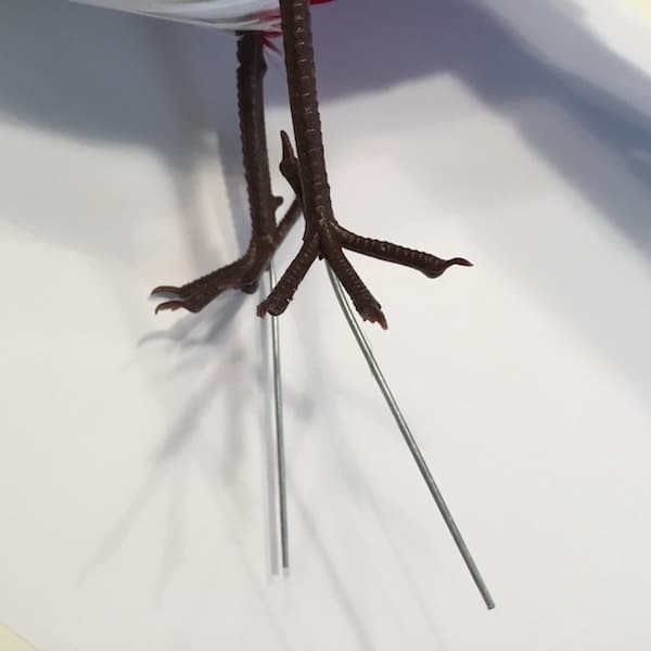 Kunstig spætte med fjer - Billede 6