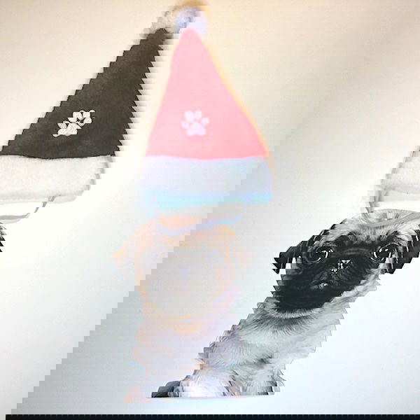 Nissehue til din hund - Billede 4