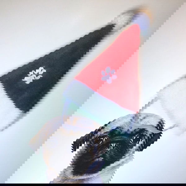 Nissehue til din hund - Billede 2