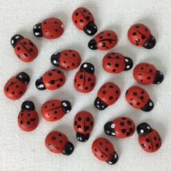 Alternative view of Mariehøns med klæbepude