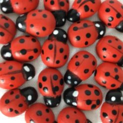 Mariehøns med klæbepude