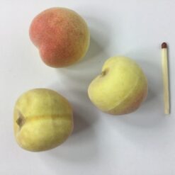 Alternative view of Fersken i mini størrelse