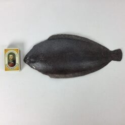Alternative view of Kunstig fladfisk