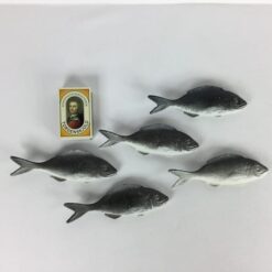 Alternative view of Kunstig Sardin