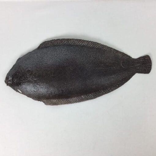 Kunstig fladfisk