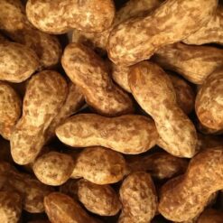 Alternative view of Jordnød i stor størrelse