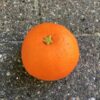 Kunstig naturtro orange mandarin