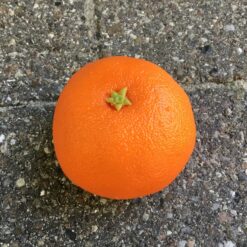 Kunstig naturtro orange mandarin