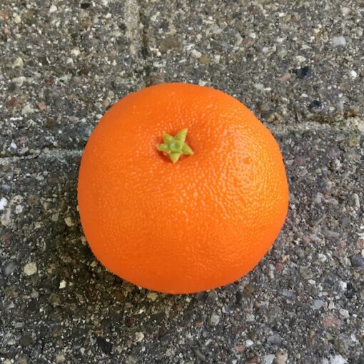 Kunstig naturtro orange mandarin