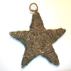 Guld stjerne til ophæng