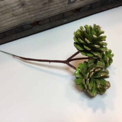 Alternative view of Limegrøn og guld kogler