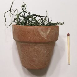 Alternative view of Mini lerpotte fin lille potte