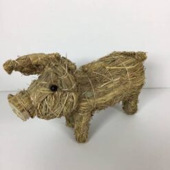 Lille halmgris der ser lige ud