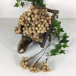 Guld bær med gulddrys