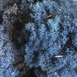 Blå præserveret mos 50g