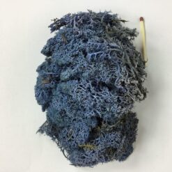 Alternative view of Blå præserveret mos 50g