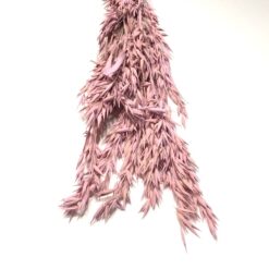 Lyserød tørrede havre buket