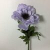 Anemone i sart lilla